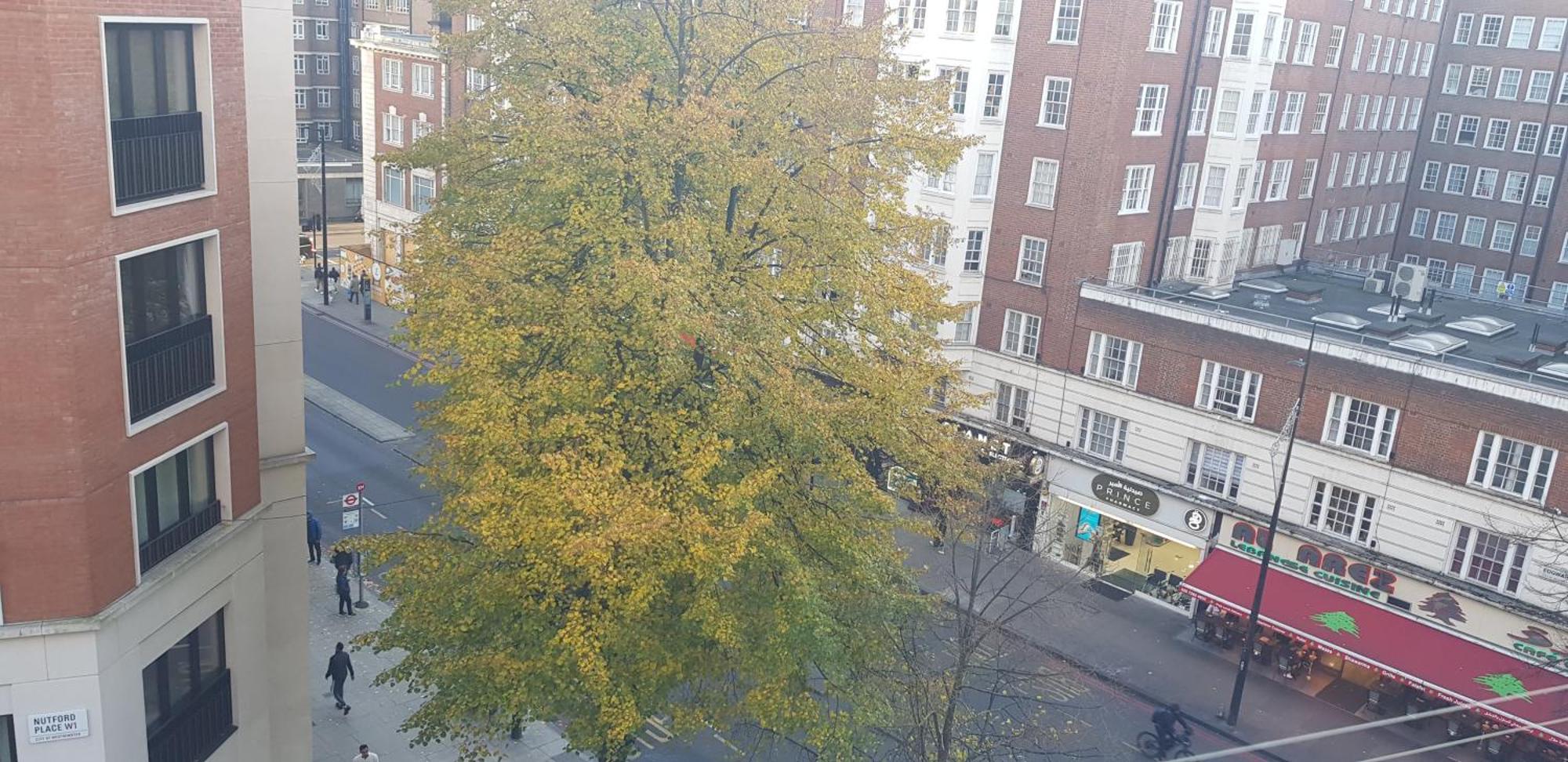 Entire Aptartment On Main Edgware Road, Near Marble Arch, Oxford Street And Hyde Park * Londra